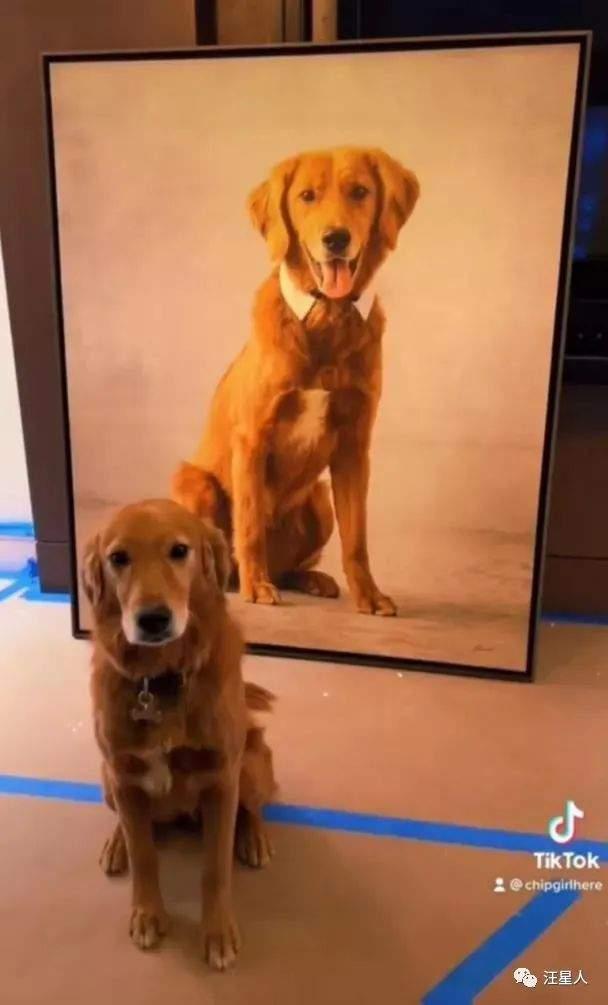 早期狗子爆料视频播放  第2张